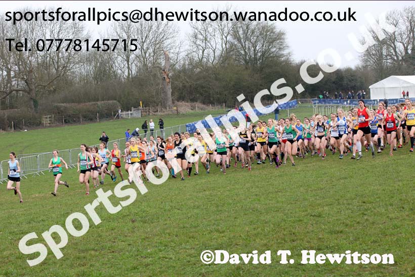 Senior womens Inter Counties Cross Country, Prestwold Hall, Loughborough. Photo: David T. Hewitson/Sports for All Pics